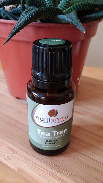 another Periungual warts treatment, tea tree oil